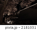 春の夜の夢 2181031