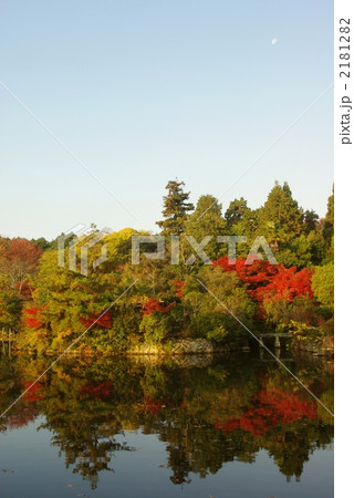 龍安寺の庭園 2181282