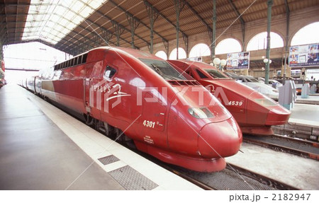 タリス タリス 2182947