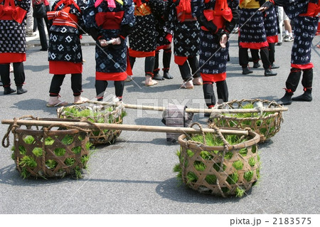 御田植祭 2183575