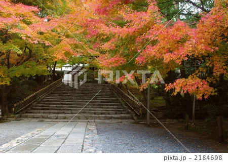 紅葉の龍安寺 紅葉の龍安寺 2184698