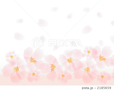 桜の花 2185659
