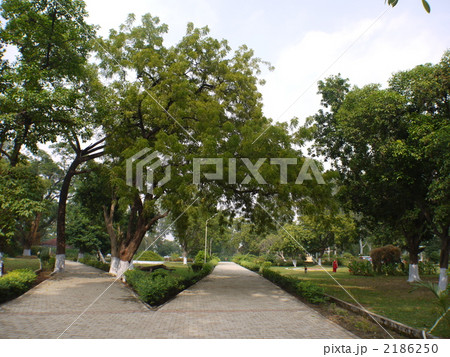 インド・ラージギルの竹林精舎 2186250