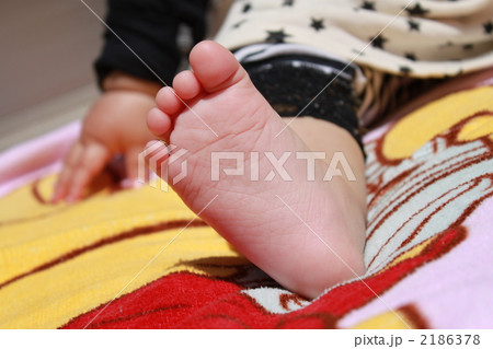 成長の足音 2186378