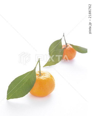 みかん 2186762