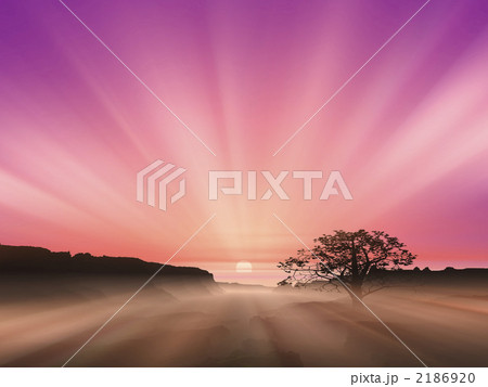 日の出 2186920
