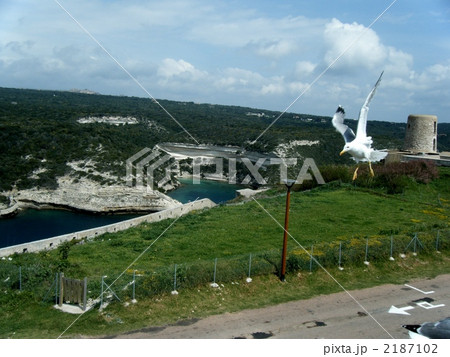 コルシカ島の海岸線 2187102