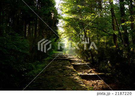 箱根の遊歩道 2187220