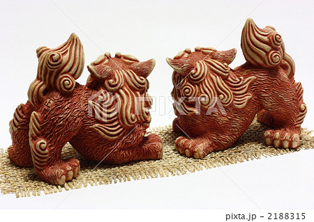 シーサー後ろ姿の写真素材