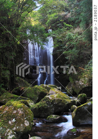 桑の木の滝 桑の木の滝 2189037