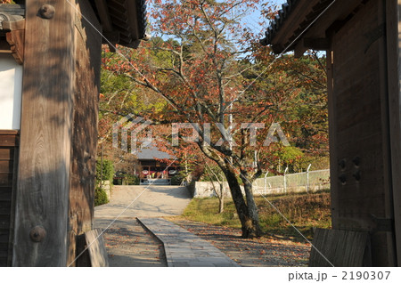 【四国八十八ヶ所】第五十番 繁多寺 山門越しの境内 愛媛県松山市 【四国八十八ヶ所】第五十番 繁多寺 山門越しの境内 愛媛県松山市 2190307