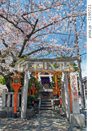 祇園白川 辰巳大明神の桜 2190721