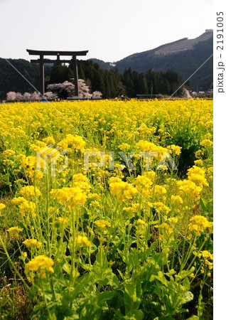 熊野本宮旧社地の大鳥居 2191005