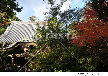 【四国八十八ヶ所】第四十六番　晩秋の浄瑠璃寺境内　愛媛県松山市 2191266
