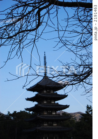 五重塔 2191463