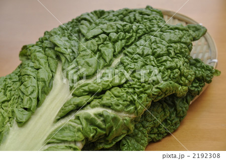 かつお菜 かつお菜 2192308