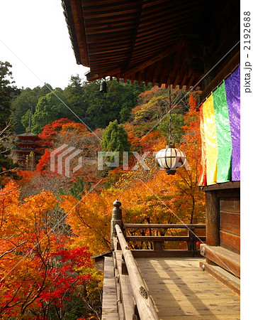 紅葉の長谷寺 2192688