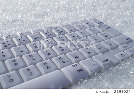 雪の輝 2193024