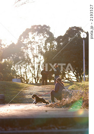 ペットの散歩 2193527