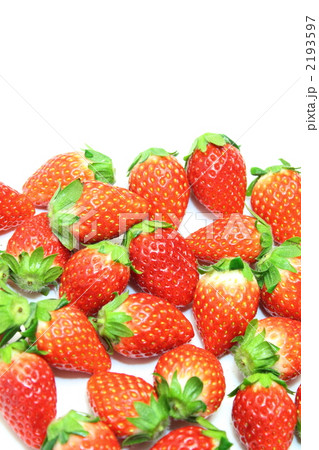 苺とちおとめ 苺とちおとめ 2193597