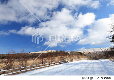 冬のヴィーナスライン 冬のヴィーナスライン 2193966