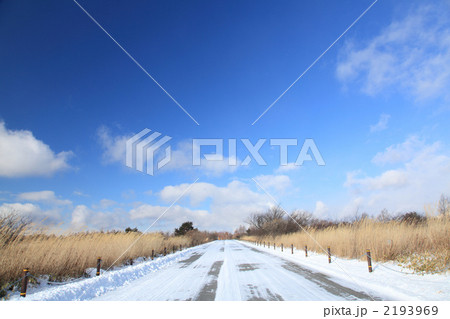 冬のヴィーナスライン 冬のヴィーナスライン 2193969