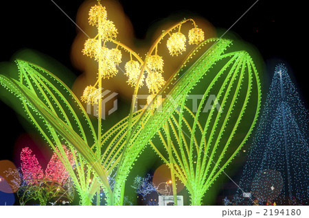 ホワイトイルミネーション 2194180