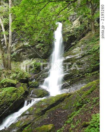 秩父　不動滝 2195260