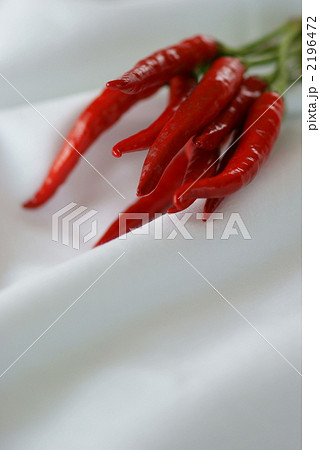 ホットな鷹の爪 2196472