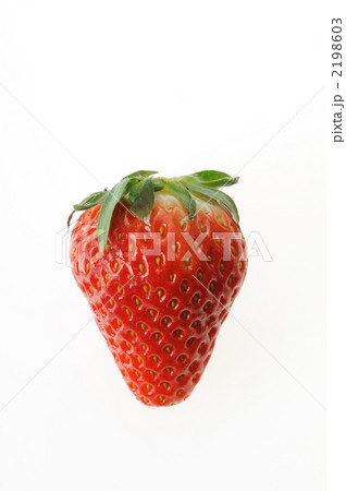 白背景のイチゴ 2198603
