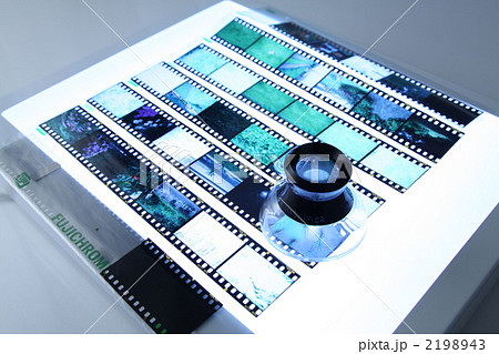 リバーサルフィルムをライトボックスで見るの写真素材 [2198943] - PIXTA