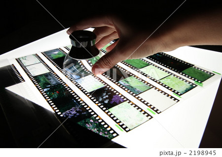 リバーサルフィルムをライトボックスで見る リバーサルフィルムをライトボックスで見る 2198945