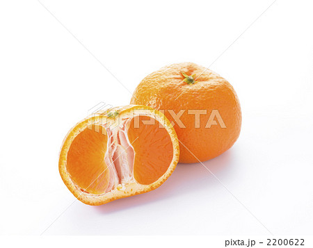 みかん みかん 2200622