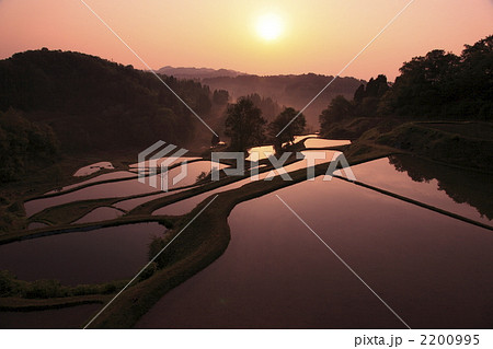 松代の棚田 松代の棚田 2200995