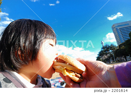 ハンバーガー① 2201614