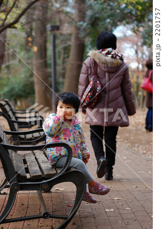 森の中のベンチ１ 2201757