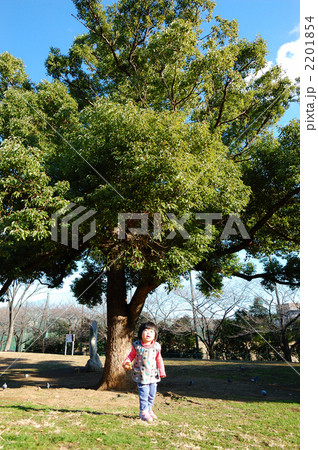 大木と娘9 2201854