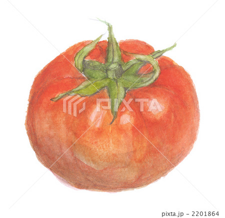 トマト トマト 2201864