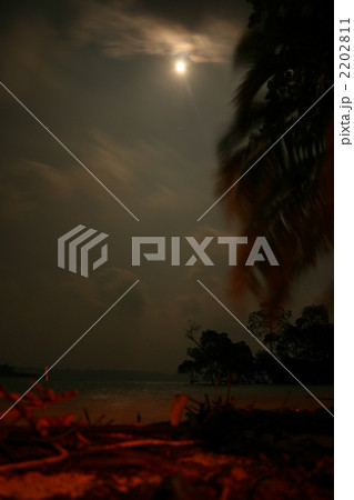 月夜のアンダマン諸島 月夜のアンダマン諸島 2202811