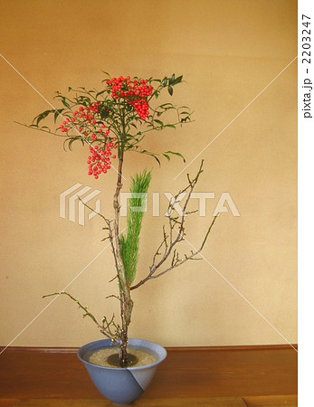 お正月の生け花　ナンテン 2203247