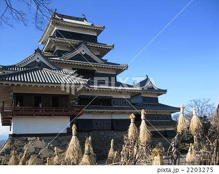 松本城本丸　小笠原牡丹のわらぼっち 2203275