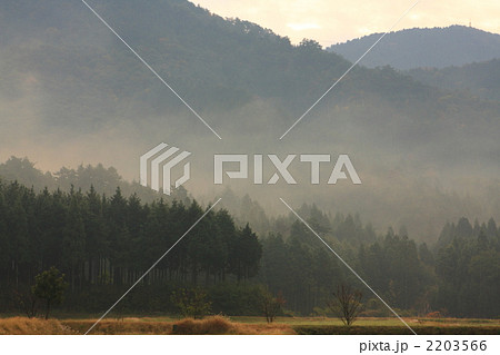 朝霧に包まれた　長浜の山 2203566