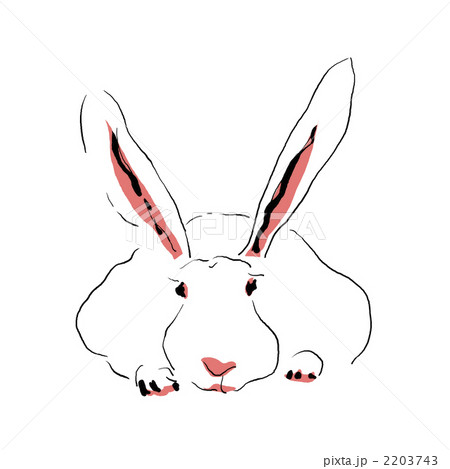 うさぎ ふせたウサギ しゃがんだウサギのイラスト素材