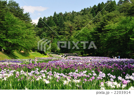 五十公野公園 五十公野公園 2203914