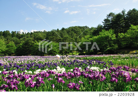 五十公野公園 2203928