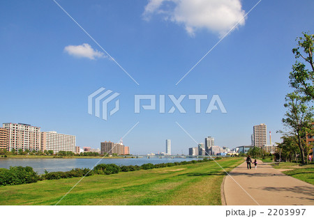 やすらぎ堤の遊歩道 やすらぎ堤の遊歩道 2203997