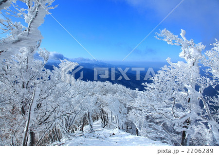 高見山の樹氷 高見山の樹氷 2206289