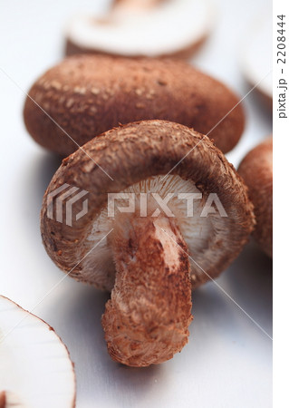 椎茸 2208444