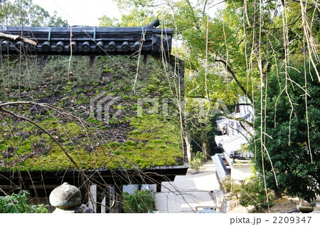 苔生した檜皮葺屋根 苔生した檜皮葺屋根 2209347