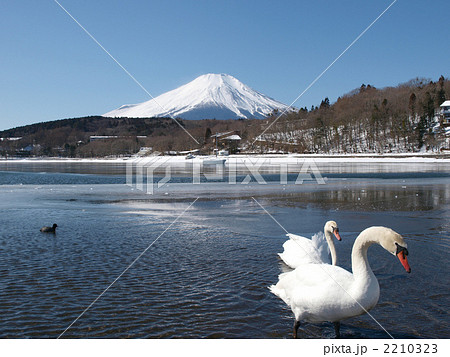 山と鳥と湖 山と鳥と湖 2210323